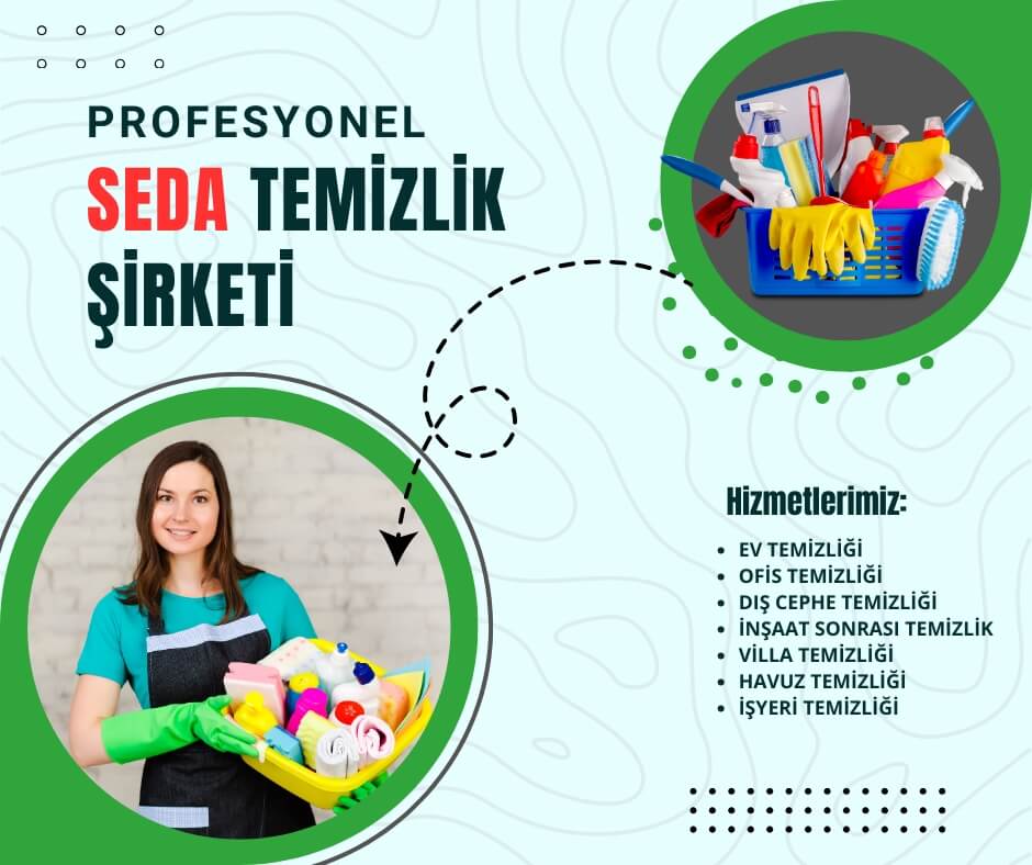 profesyonel temizlik sirketi